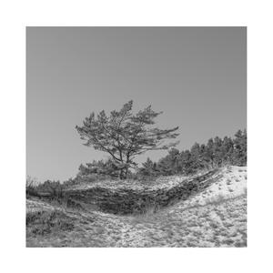 小苮儿有声小说在线阅读
